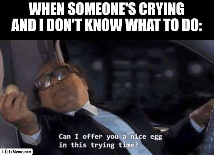 Can I offer you a nice egg in this trying time? |  WHEN SOMEONE'S CRYING AND I DON'T KNOW WHAT TO DO: | image tagged in can i offer you a nice egg in this trying time | made w/ Lifeismeme meme maker