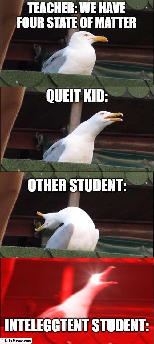 leca school meme |  TEACHER: WE HAVE FOUR STATE OF MATTER; QUEIT KID:; OTHER STUDENT:; INTELEGGTENT STUDENT: | image tagged in memes,inhaling seagull | made w/ Lifeismeme meme maker