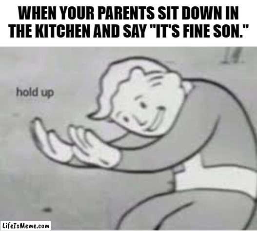 Family secrets. |  WHEN YOUR PARENTS SIT DOWN IN THE KITCHEN AND SAY "IT'S FINE SON." | image tagged in hol up | made w/ Lifeismeme meme maker