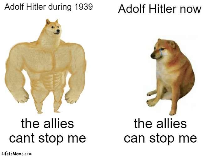 Adolf hitler before vs after |  Adolf Hitler during 1939; Adolf Hitler now; the allies cant stop me; the allies can stop me | image tagged in memes,buff doge vs cheems | made w/ Lifeismeme meme maker