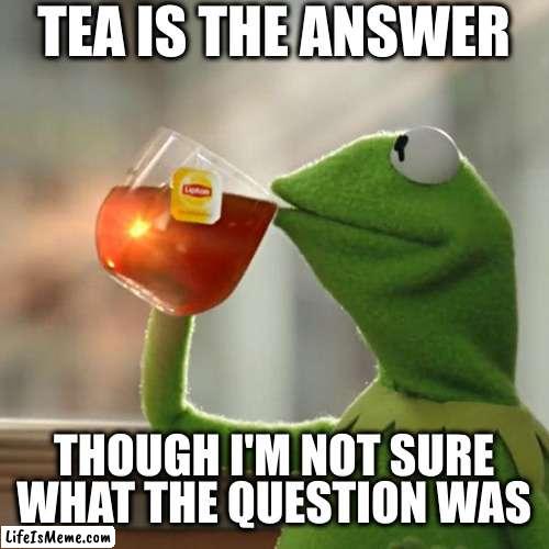 Kermit has the answer |  TEA IS THE ANSWER; THOUGH I'M NOT SURE WHAT THE QUESTION WAS | image tagged in memes,but that's none of my business,kermit the frog | made w/ Lifeismeme meme maker