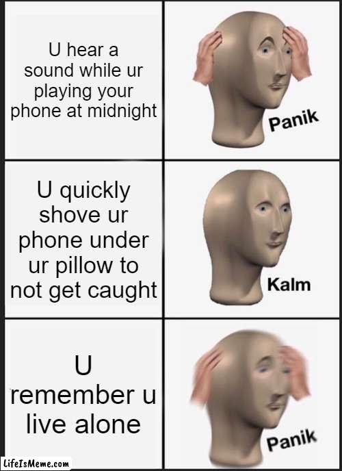 《Instinct》 |  U hear a sound while ur playing your phone at midnight; U quickly shove ur phone under ur pillow to not get caught; U remember u live alone | image tagged in memes,panik kalm panik | made w/ Lifeismeme meme maker