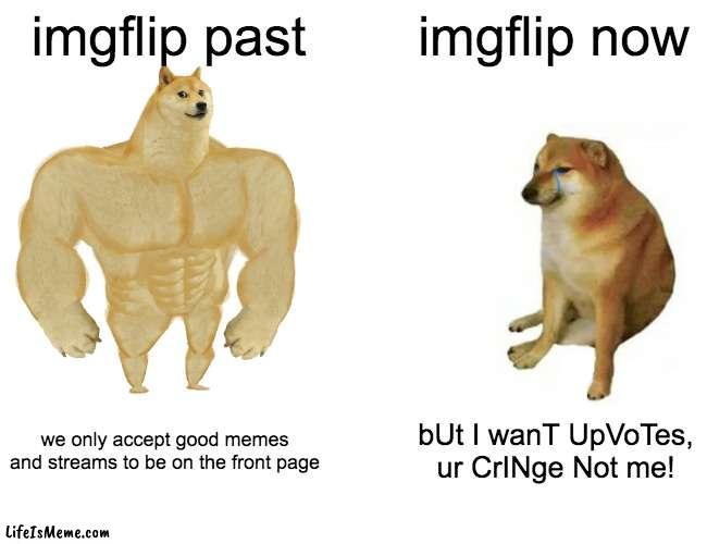 sad but its true |  imgflip past; imgflip now; we only accept good memes and streams to be on the front page; bUt I wanT UpVoTes, ur CrINge Not me! | image tagged in memes,buff doge vs cheems,imgflip,imgflip users,imgflip community | made w/ Lifeismeme meme maker