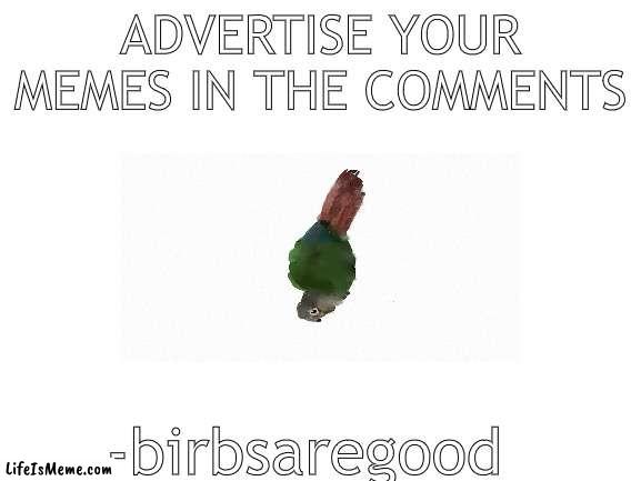Advertise memes here |  ADVERTISE YOUR MEMES IN THE COMMENTS; -birbsaregood | image tagged in blank white template | made w/ Lifeismeme meme maker