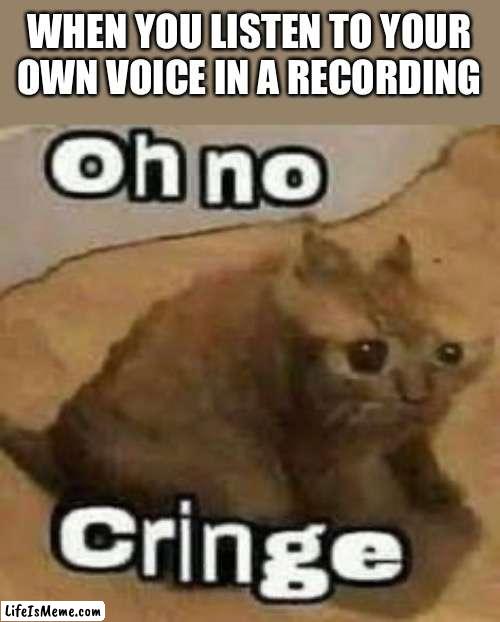 Most people’s reaction to hearing their voice on audio |  WHEN YOU LISTEN TO YOUR OWN VOICE IN A RECORDING | image tagged in oh no cringe,voice,recording | made w/ Lifeismeme meme maker