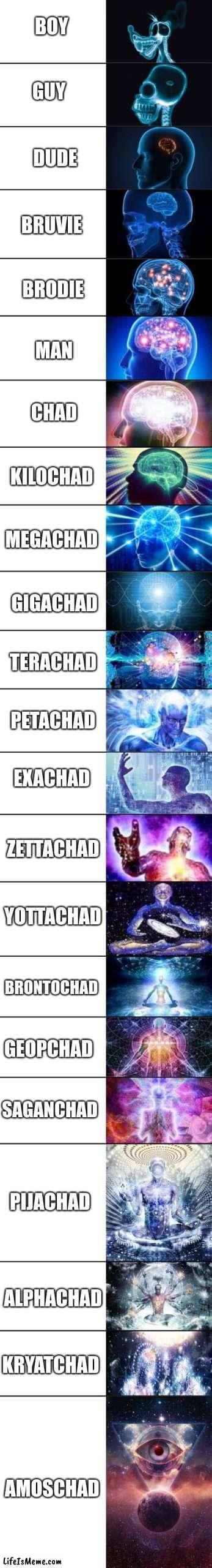 22 Brain Template |  BOY; GUY; DUDE; BRUVIE; BRODIE; MAN; CHAD; KILOCHAD; MEGACHAD; GIGACHAD; TERACHAD; PETACHAD; EXACHAD; ZETTACHAD; YOTTACHAD; BRONTOCHAD; GEOPCHAD; SAGANCHAD; PIJACHAD; ALPHACHAD; KRYATCHAD; AMOSCHAD | image tagged in 22 brain template,giga chad,chad,gigachad,chad- | made w/ Lifeismeme meme maker