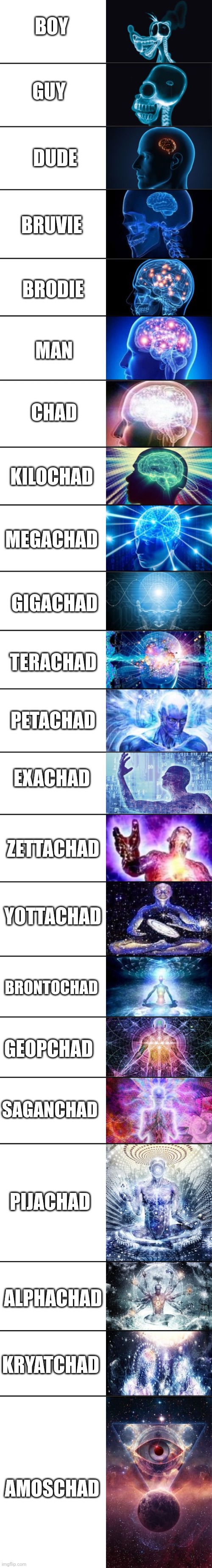 22 Brain Template |  BOY; GUY; DUDE; BRUVIE; BRODIE; MAN; CHAD; KILOCHAD; MEGACHAD; GIGACHAD; TERACHAD; PETACHAD; EXACHAD; ZETTACHAD; YOTTACHAD; BRONTOCHAD; GEOPCHAD; SAGANCHAD; PIJACHAD; ALPHACHAD; KRYATCHAD; AMOSCHAD | image tagged in 22 brain template,giga chad,chad,gigachad,chad- | made w/ Lifeismeme meme maker