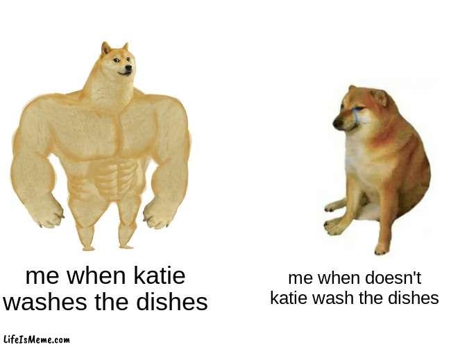me when im gay |  me when katie washes the dishes; me when doesn't katie wash the dishes | image tagged in memes,buff doge vs cheems | made w/ Lifeismeme meme maker
