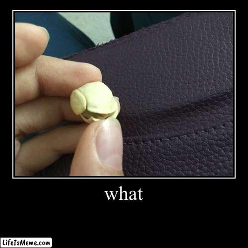 Cursed Pistachio that i found | what | | image tagged in funny,demotivationals | made w/ Lifeismeme demotivational maker