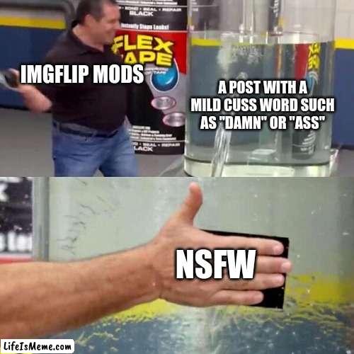 this better not be marked i swear |  IMGFLIP MODS; A POST WITH A MILD CUSS WORD SUCH AS "DAMN" OR "ASS"; NSFW | image tagged in phil swift slapping on flex tape | made w/ Lifeismeme meme maker