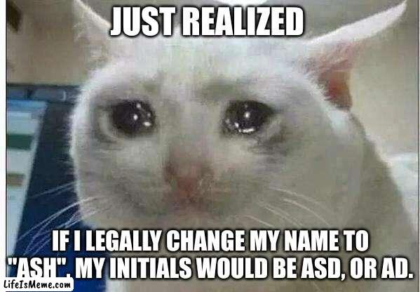 ASD as in autism spectrum disorder |  JUST REALIZED; IF I LEGALLY CHANGE MY NAME TO "ASH", MY INITIALS WOULD BE ASD, OR AD. | image tagged in crying cat | made w/ Lifeismeme meme maker