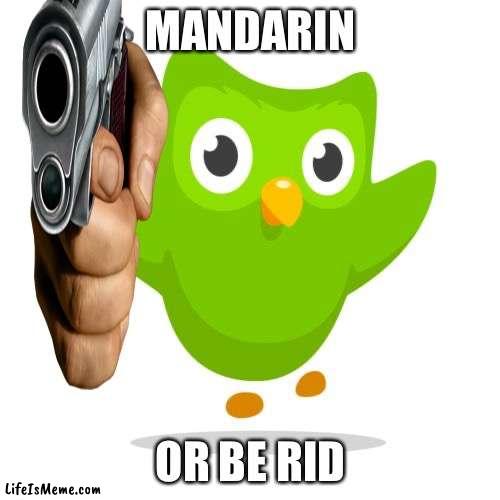 Learn Mandarin :) |  MANDARIN; OR BE RID | image tagged in mandarinorberid,duolingo | made w/ Lifeismeme meme maker