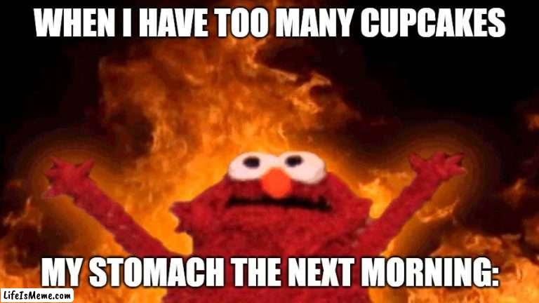 Cupcakes are deadly!!!! |  WHEN I HAVE TOO MANY CUPCAKES; MY STOMACH THE NEXT MORNING: | image tagged in elmo fire,cupcakes,deadly,nausea,sickness,vomit | made w/ Lifeismeme meme maker