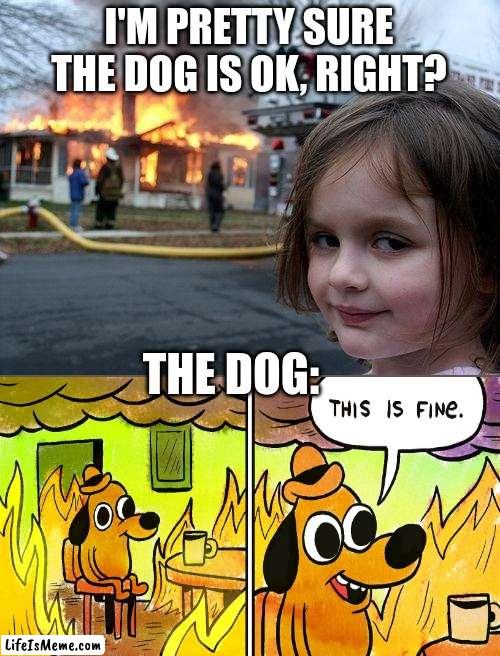 Yeah, at this point he's dead... |  I'M PRETTY SURE THE DOG IS OK, RIGHT? THE DOG: | image tagged in memes,disaster girl | made w/ Lifeismeme meme maker