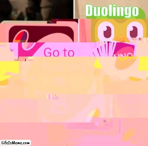 dúo goes to hell |  Duolingo; Go to heaven | image tagged in duolingo,uno draw 25 cards | made w/ Lifeismeme meme maker