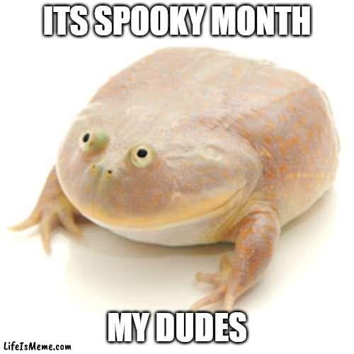 spoopy |  ITS SPOOKY MONTH; MY DUDES | image tagged in it is wednesday my dudes,spooky month,spooky,october | made w/ Lifeismeme meme maker