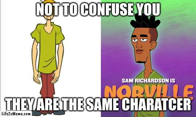 yes reallly |  NOT TO CONFUSE YOU; THEY ARE THE SAME CHARATCER | image tagged in white background,why,shaggy,new shaggy design | made w/ Lifeismeme meme maker