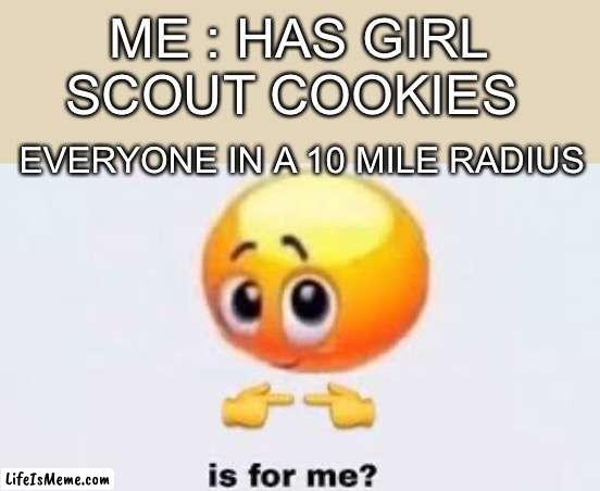 DO NOT BRING THIN MINTS TO SCHOOL |  ME : HAS GIRL SCOUT COOKIES; EVERYONE IN A 10 MILE RADIUS | image tagged in is for me,thin mints | made w/ Lifeismeme meme maker