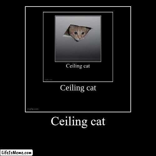 Ceiling cat (continiue it) | Ceiling cat | | image tagged in funny,demotivationals,ceiling cat,droste effect | made w/ Lifeismeme demotivational maker