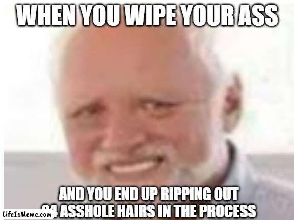 oh the misery |  WHEN YOU WIPE YOUR ASS; AND YOU END UP RIPPING OUT 24 ASSHOLE HAIRS IN THE PROCESS | image tagged in hide the pain harold,butt,pain | made w/ Lifeismeme meme maker