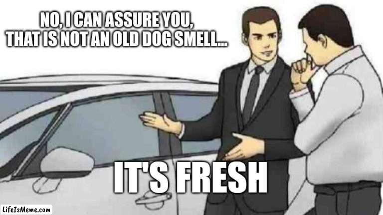 That used car salesman... |  NO, I CAN ASSURE YOU, THAT IS NOT AN OLD DOG SMELL... IT'S FRESH | image tagged in memes,car salesman slaps roof of car | made w/ Lifeismeme meme maker