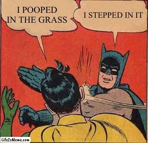 Robin poop |  I POOPED IN THE GRASS; I STEPPED IN IT | image tagged in memes,batman slapping robin,poop,grass,ew i stepped in shit | made w/ Lifeismeme meme maker