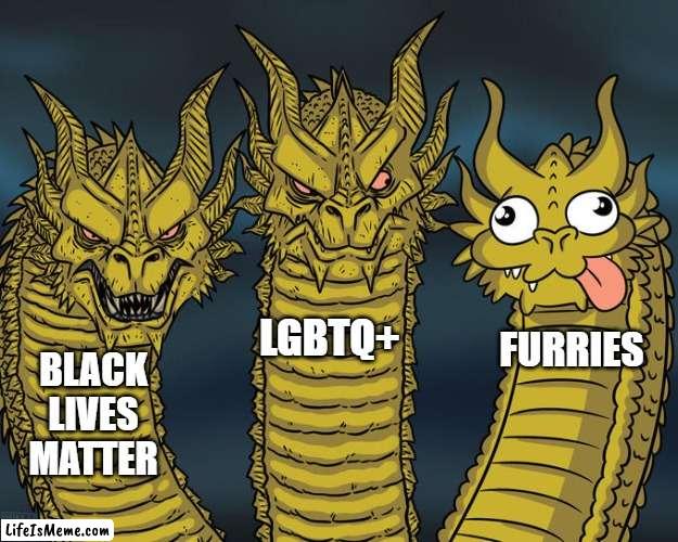 communities comparison |  LGBTQ+; FURRIES; BLACK LIVES MATTER | image tagged in three-headed dragon,black lives matter,lgbtq,anti furry | made w/ Lifeismeme meme maker