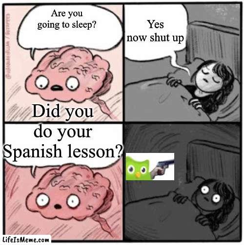 Duolingo owl |  Yes now shut up; Are you going to sleep? Did you do your Spanish lesson? | image tagged in brain before sleep | made w/ Lifeismeme meme maker