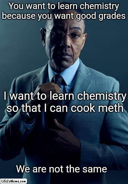 I've been watching too much Breaking Bad |  You want to learn chemistry because you want good grades; I want to learn chemistry so that I can cook meth; We are not the same | image tagged in gus fring we are not the same | made w/ Lifeismeme meme maker