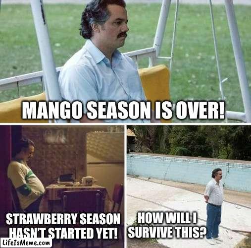 Mango and strawberry love! |  MANGO SEASON IS OVER! STRAWBERRY SEASON HASN’T STARTED YET! HOW WILL I SURVIVE THIS? | image tagged in memes,sad pablo escobar | made w/ Lifeismeme meme maker