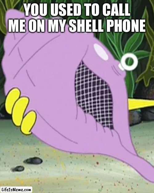 Conch meme |  YOU USED TO CALL ME ON MY SHELL PHONE | image tagged in spongebob,magic conch,spongebob magic conch,drake,drake hotline bling | made w/ Lifeismeme meme maker