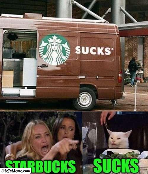 STARBUCKS |  SUCKS; STARBUCKS | image tagged in woman yelling at cat | made w/ Lifeismeme meme maker