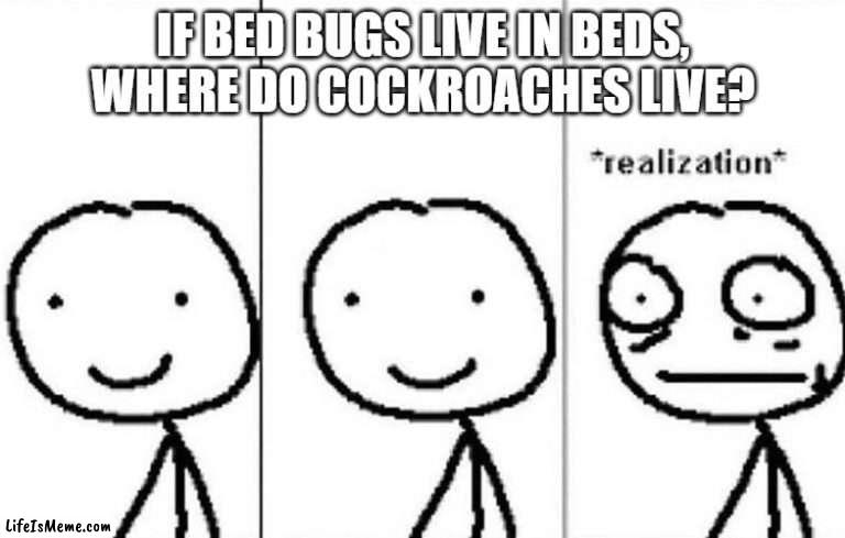 Uhhh |  IF BED BUGS LIVE IN BEDS, WHERE DO COCKROACHES LIVE? | image tagged in realization,cockroach | made w/ Lifeismeme meme maker