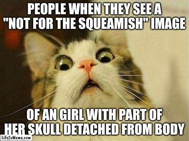 First time. |  PEOPLE WHEN THEY SEE A "NOT FOR THE SQUEAMISH" IMAGE; OF AN GIRL WITH PART OF HER SKULL DETACHED FROM BODY | image tagged in memes,scared cat | made w/ Lifeismeme meme maker