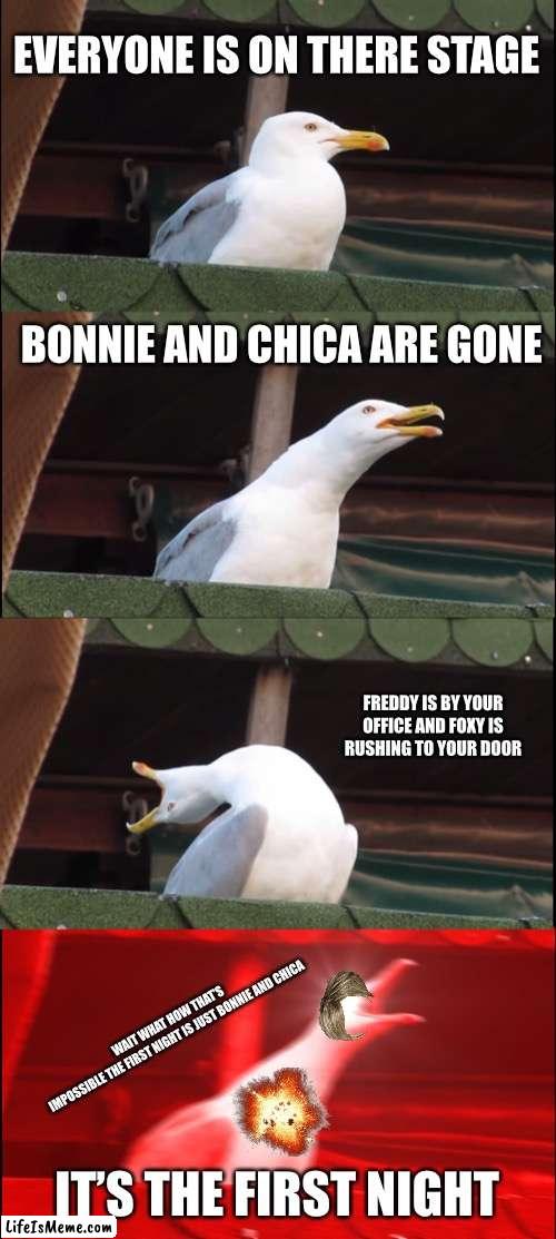 Seagull playing fnaf |  EVERYONE IS ON THERE STAGE; BONNIE AND CHICA ARE GONE; FREDDY IS BY YOUR OFFICE AND FOXY IS RUSHING TO YOUR DOOR; WAIT WHAT HOW THAT’S IMPOSSIBLE THE FIRST NIGHT IS JUST BONNIE AND CHICA; IT’S THE FIRST NIGHT | image tagged in memes,inhaling seagull | made w/ Lifeismeme meme maker