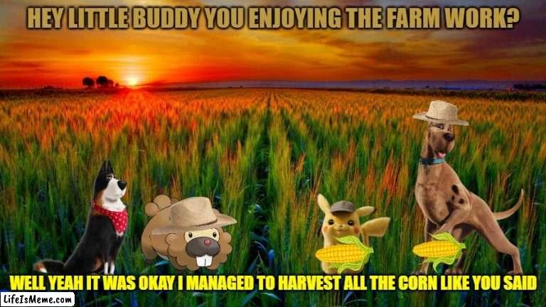 pikachu's farm life |  HEY LITTLE BUDDY YOU ENJOYING THE FARM WORK? WELL YEAH IT WAS OKAY I MANAGED TO HARVEST ALL THE CORN LIKE YOU SAID | image tagged in sunrise on the farm,warner bros,universal studios,dogs,beavers,mice | made w/ Lifeismeme meme maker