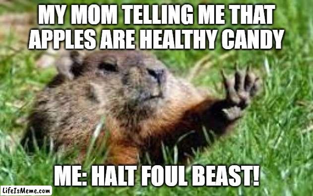 The halting groundhog |  MY MOM TELLING ME THAT APPLES ARE HEALTHY CANDY; ME: HALT FOUL BEAST! | image tagged in hold up | made w/ Lifeismeme meme maker