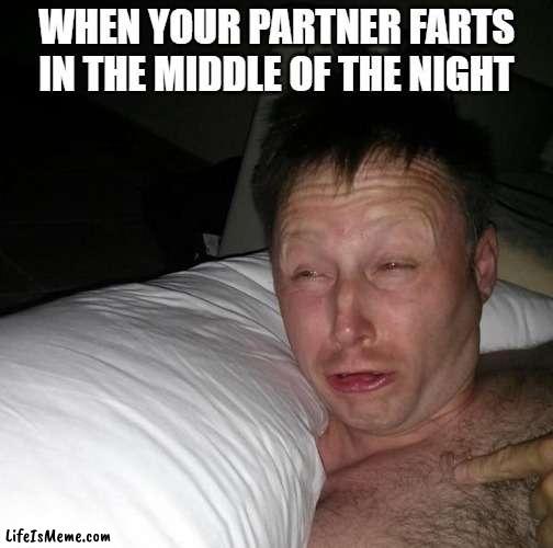 Limmy Face Meme |  WHEN YOUR PARTNER FARTS IN THE MIDDLE OF THE NIGHT | image tagged in limmy waking up,fart,farts,fart jokes,farted | made w/ Lifeismeme meme maker