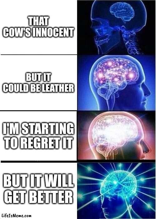 Leather |  THAT COW'S INNOCENT; BUT IT COULD BE LEATHER; I'M STARTING TO REGRET IT; BUT IT WILL GET BETTER | image tagged in memes,expanding brain | made w/ Lifeismeme meme maker