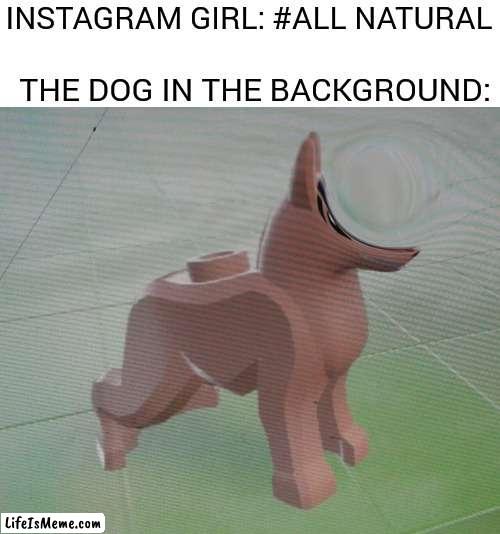 you get no brick-ches |  THE DOG IN THE BACKGROUND:; INSTAGRAM GIRL: #ALL NATURAL | image tagged in instagram,lego,memes | made w/ Lifeismeme meme maker