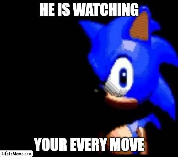 Sonic stares |  HE IS WATCHING; YOUR EVERY MOVE | image tagged in sonic stares,scary,bruh,sonic the hedgehog,funny,funny meme | made w/ Lifeismeme meme maker