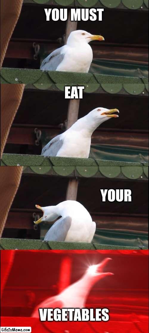 eat... our vegetables |  YOU MUST; EAT; YOUR; VEGETABLES | image tagged in memes,inhaling seagull | made w/ Lifeismeme meme maker