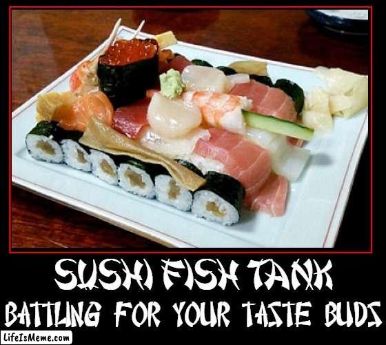 If you knew Sushi like I know Sushi... oh, oh, oh, what a meal |  SUSHI FISH TANK; BATTLING FOR YOUR TASTE BUDS | image tagged in vince vance,sushi,tank,sashimi,japanese,memes | made w/ Lifeismeme meme maker