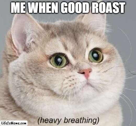 m |  ME WHEN GOOD ROAST | image tagged in memes,heavy breathing cat | made w/ Lifeismeme meme maker