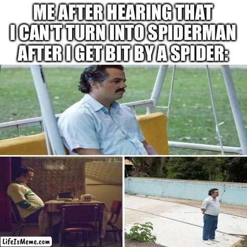 DAD! WHY DIDNT I TURN INTO A SPIDERMAN! |  ME AFTER HEARING THAT I CAN'T TURN INTO SPIDERMAN AFTER I GET BIT BY A SPIDER: | image tagged in blank transparent square,sad pablo escobar,spooky scary skeleton | made w/ Lifeismeme meme maker