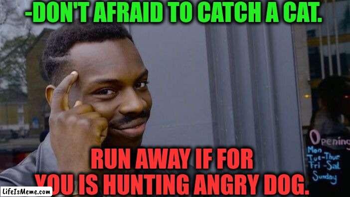 -Never good way. |  -DON'T AFRAID TO CATCH A CAT. RUN AWAY IF FOR YOU IS HUNTING ANGRY DOG. | image tagged in memes,roll safe think about it,gotta catch em all,warrior cats,raydog,hunter x hunter | made w/ Lifeismeme meme maker