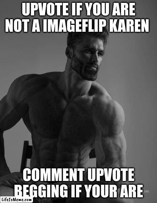 i will see the results |  UPVOTE IF YOU ARE NOT A IMAGEFLIP KAREN; COMMENT UPVOTE BEGGING IF YOUR ARE | image tagged in giga chad | made w/ Lifeismeme meme maker