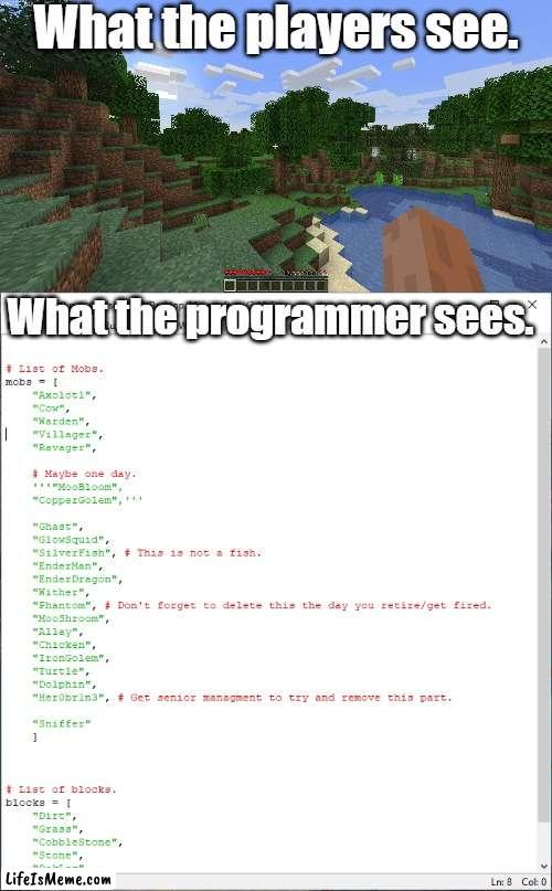 Minecraft Behind The Scenes. |  What the players see. What the programmer sees. | image tagged in minecraft,coding,programming,python | made w/ Lifeismeme meme maker