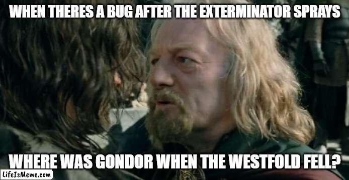 Where was Gondor when the Westfold fell? |  WHEN THERES A BUG AFTER THE EXTERMINATOR SPRAYS; WHERE WAS GONDOR WHEN THE WESTFOLD FELL? | image tagged in where was gondor,bugs | made w/ Lifeismeme meme maker