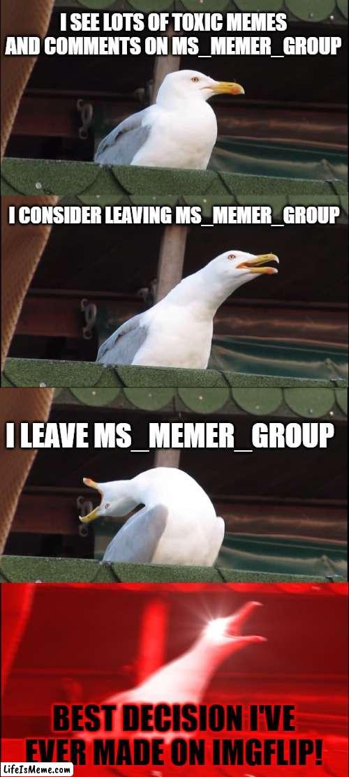 NO REGRETS! =D |  I SEE LOTS OF TOXIC MEMES AND COMMENTS ON MS_MEMER_GROUP; I CONSIDER LEAVING MS_MEMER_GROUP; I LEAVE MS_MEMER_GROUP; BEST DECISION I'VE EVER MADE ON IMGFLIP! | image tagged in memes,inhaling seagull,no regrets,happy | made w/ Lifeismeme meme maker